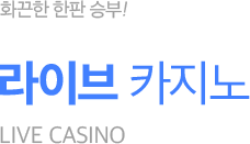 라이브 타이틀