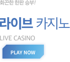 라이브 타이틀